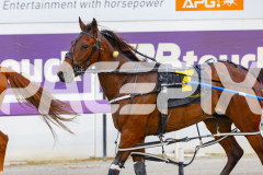 2025_PACEPIX_GP28102025_Race3_FabulousDream_WIN_WEB-15