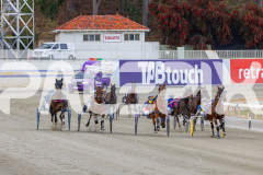 2025_PACEPIX_GP28102025_Race3_FabulousDream_WIN_WEB-2