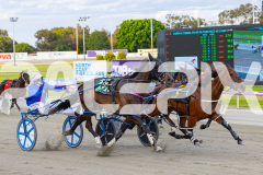 2025_PACEPIX_GP28102025_Race3_FabulousDream_WIN_WEB-7