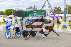 2025_PACEPIX_GP28102025_Race3_FabulousDream_WIN_WEB-8