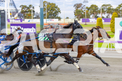 2025_PACEPIX_GP28102025_Race3_FabulousDream_WIN_WEB-9