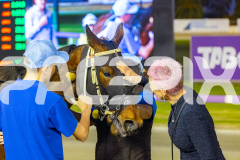 2025_PACEPIX_GP12092025_Race3_Fakenit_WIN_WEB-20