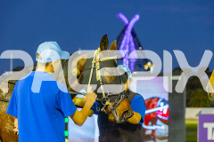 2025_PACEPIX_GP12092025_Race3_Fakenit_WIN_WEB-22