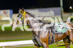 2025_PACEPIX_GP09052025_RACE3_FollowRocknroll_WIN_WEB-10