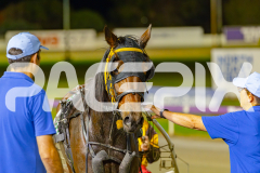 2025_PACEPIX_GP09052025_RACE3_FollowRocknroll_WIN_WEB-12