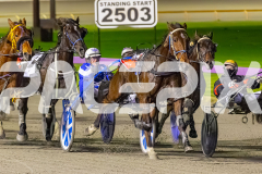 RACE 3 - Frankie J Holden