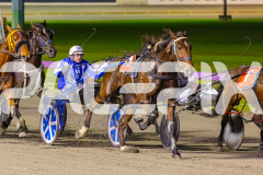 2025_PACEPIX_GP01072025_Race3_FrankieJHolden_WIN_WEB-12