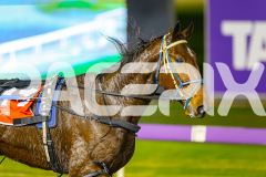 2025_PACEPIX_GP01072025_Race3_FrankieJHolden_WIN_WEB-21