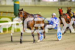 2025_PACEPIX_GP01072025_Race3_FrankieJHolden_WIN_WEB-22