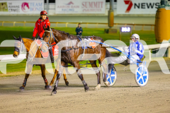 2025_PACEPIX_GP01072025_Race3_FrankieJHolden_WIN_WEB-23