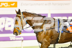 2025_PACEPIX_GP01072025_Race3_FrankieJHolden_WIN_WEB-24