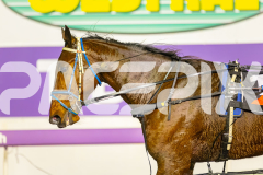 2025_PACEPIX_GP01072025_Race3_FrankieJHolden_WIN_WEB-25