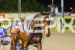 2025_PACEPIX_GP01072025_Race3_FrankieJHolden_WIN_WEB-27