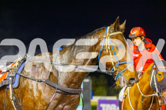 2025_PACEPIX_GP01072025_Race3_FrankieJHolden_WIN_WEB-30