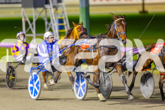 2025_PACEPIX_GP01072025_Race3_FrankieJHolden_WIN_WEB-4