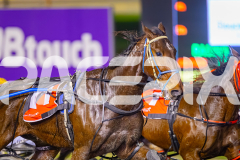2025_PACEPIX_GP01072025_Race3_FrankieJHolden_WIN_WEB-5