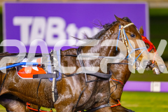 2025_PACEPIX_GP01072025_Race3_FrankieJHolden_WIN_WEB-6