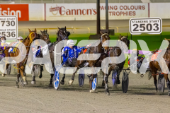 2025_PACEPIX_GP01072025_Race3_FrankieJHolden_WIN_WEB-9