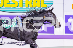 2026_PACEPIX_GP21042026_RACE3_GelsaminoAmal_WIN_WEB-12