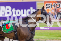 2025_PACEPIX_GP16012026_Race3_GreatgreatBoulder_WIN_WEB-11