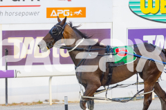 2025_PACEPIX_GP16012026_Race3_GreatgreatBoulder_WIN_WEB-14