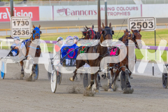 2025_PACEPIX_GP16012026_Race3_GreatgreatBoulder_WIN_WEB-4
