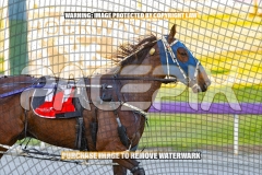 2026_PACEPIX_GP27102026_Race3_HalfMoonBay_WIN_WEB-11
