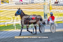 2026_PACEPIX_GP27102026_Race3_HalfMoonBay_WIN_WEB-12