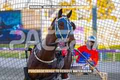 2026_PACEPIX_GP27102026_Race3_HalfMoonBay_WIN_WEB-16