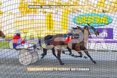 2026_PACEPIX_GP27102026_Race3_HalfMoonBay_WIN_WEB-5