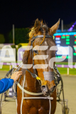 2025_PACEPIX_GP13062025_RACE3_Haveyoumetted_WIN_WEB-18