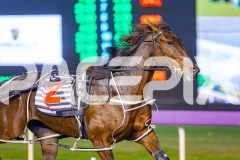 2025_PACEPIX_GP13062025_RACE3_Haveyoumetted_WIN_WEB-5