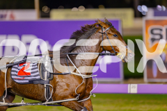 2025_PACEPIX_GP13062025_RACE3_Haveyoumetted_WIN_WEB-6
