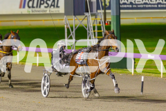 2025_PACEPIX_GP13062025_RACE3_Haveyoumetted_WIN_WEB-9