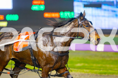 2025_PACEPIX_GP06062025_RACE3_HeavenlyGispy_WIN_WEB-17