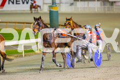 2025_PACEPIX_GP06062025_RACE3_HeavenlyGispy_WIN_WEB-18
