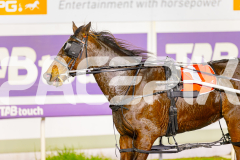 2025_PACEPIX_GP06062025_RACE3_HeavenlyGispy_WIN_WEB-21