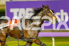 2025_PACEPIX_GP06062025_RACE3_HeavenlyGispy_WIN_WEB-4