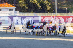RACE 3 - Henty