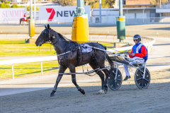 2025_PACEPIX_GP25112025_Race3_Henty_WIN_WEB-15