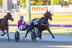 2025_PACEPIX_GP25112025_Race3_Henty_WIN_WEB-2
