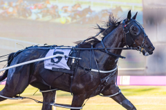 2025_PACEPIX_GP25112025_Race3_Henty_WIN_WEB-4