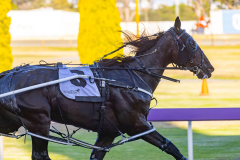 2025_PACEPIX_GP25112025_Race3_Henty_WIN_WEB-5