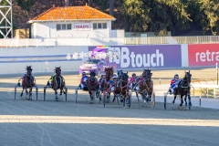 2025_PACEPIX_GP25112025_Race3_Henty_WIN_WEB-7