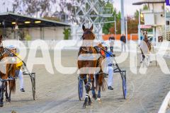 2025_PACEPIX_GP24102025_Race3_HillviewBondi_WIN_WEB-1