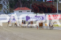 2025_PACEPIX_GP24102025_Race3_HillviewBondi_WIN_WEB-10