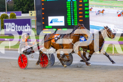 2025_PACEPIX_GP24102025_Race3_HillviewBondi_WIN_WEB-13