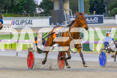 2025_PACEPIX_GP24102025_Race3_HillviewBondi_WIN_WEB-17