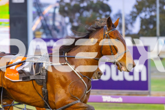 2025_PACEPIX_GP24102025_Race3_HillviewBondi_WIN_WEB-18