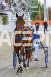 2025_PACEPIX_GP24102025_Race3_HillviewBondi_WIN_WEB-2
